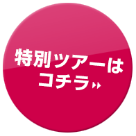特別ツアーはコチラ